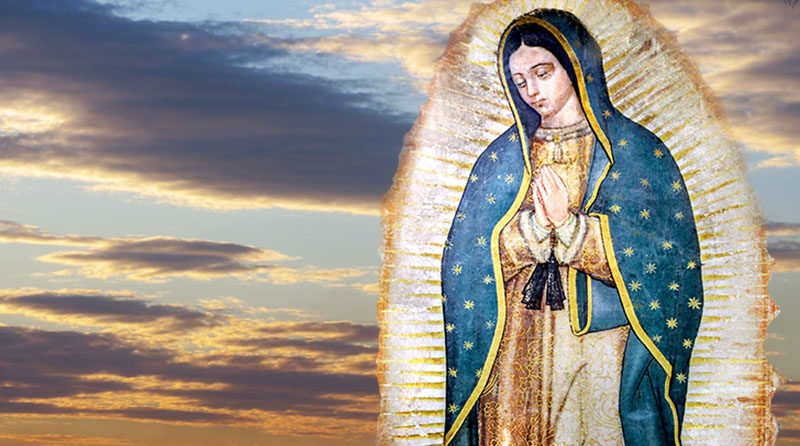 Historia de Nossa Senhora de Guadalupe, a padroeira da América Latina